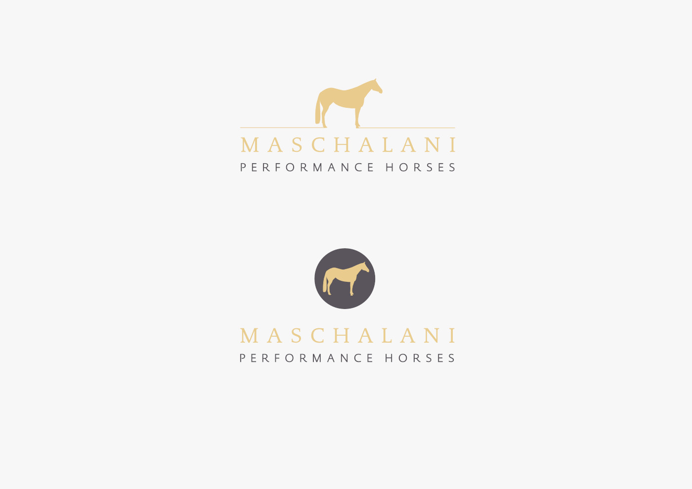 GEORGE MASCHALANI PERFORMANCE HORSES Design Logoentwürfe