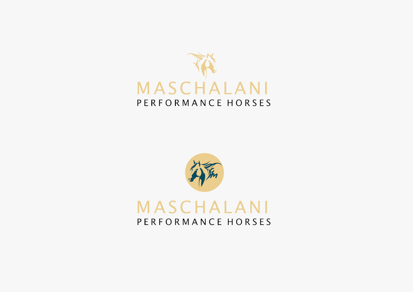 GEORGE MASCHALANI PERFORMANCE HORSES Design Logoentwürfe